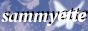 my web button